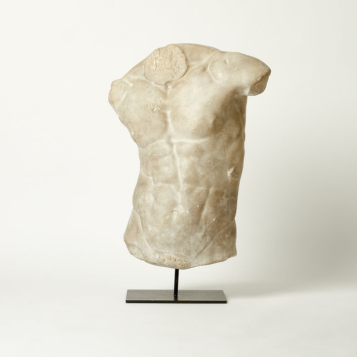 Large Vintage Male Torso on Metal Stand