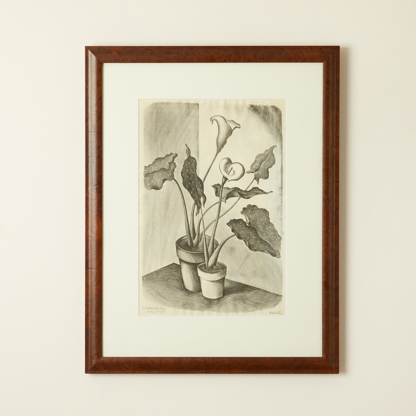 Framed Lithograph "Calla Lillies"  1937