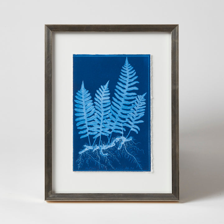 Framed Floral Indigo Prints by Dale Goffigon