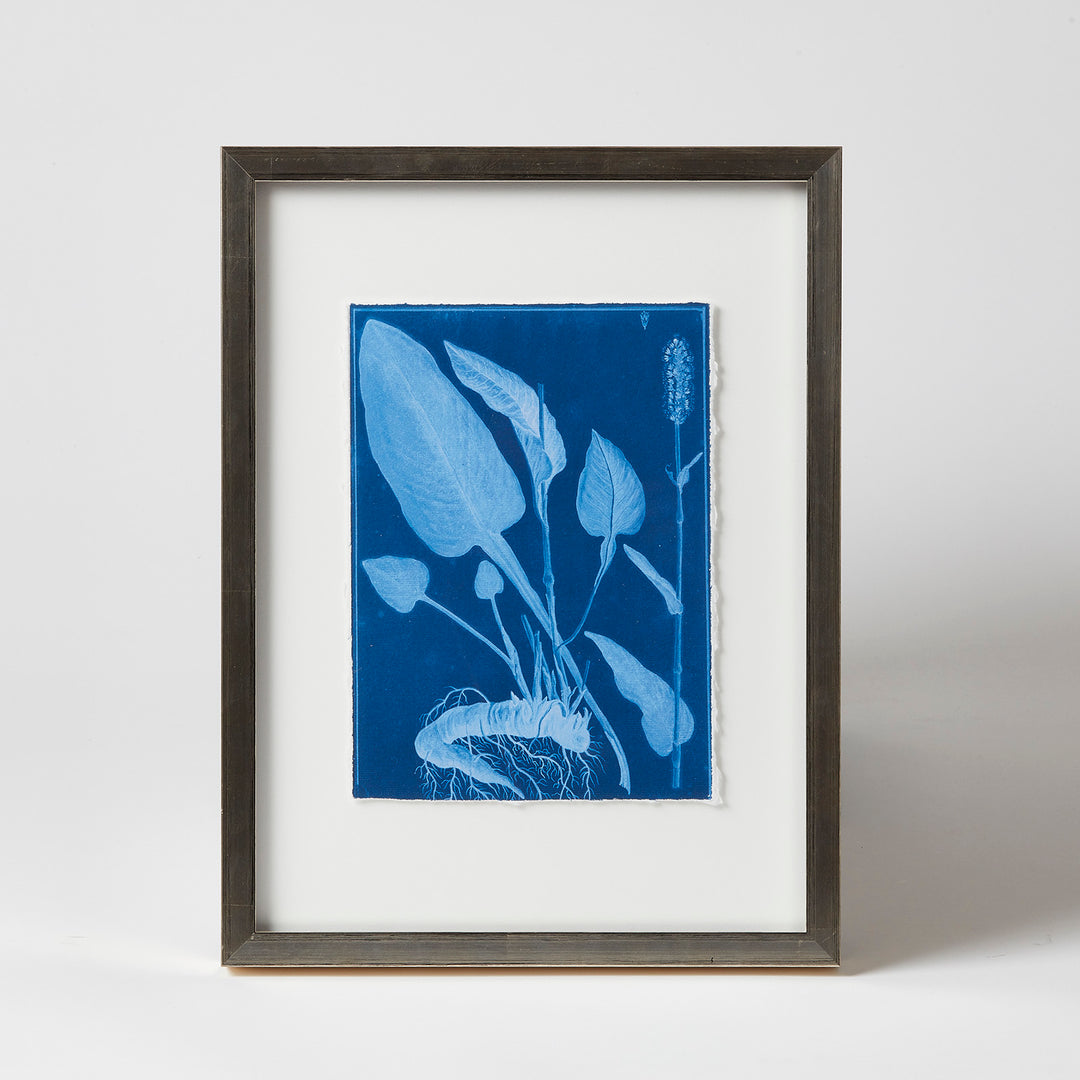 Framed Floral Indigo Prints by Dale Goffigon