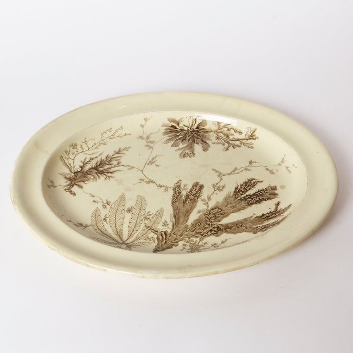 Antique Wedgewood Aesthetic Movement Period Seaweed Platter,  circa 1877