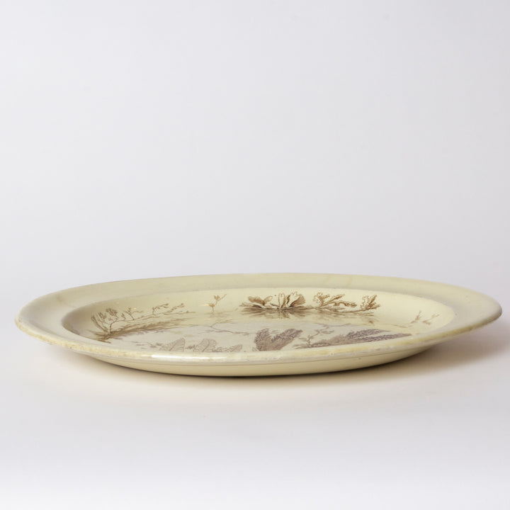 Antique Wedgewood Aesthetic Movement Period Seaweed Platter,  circa 1877