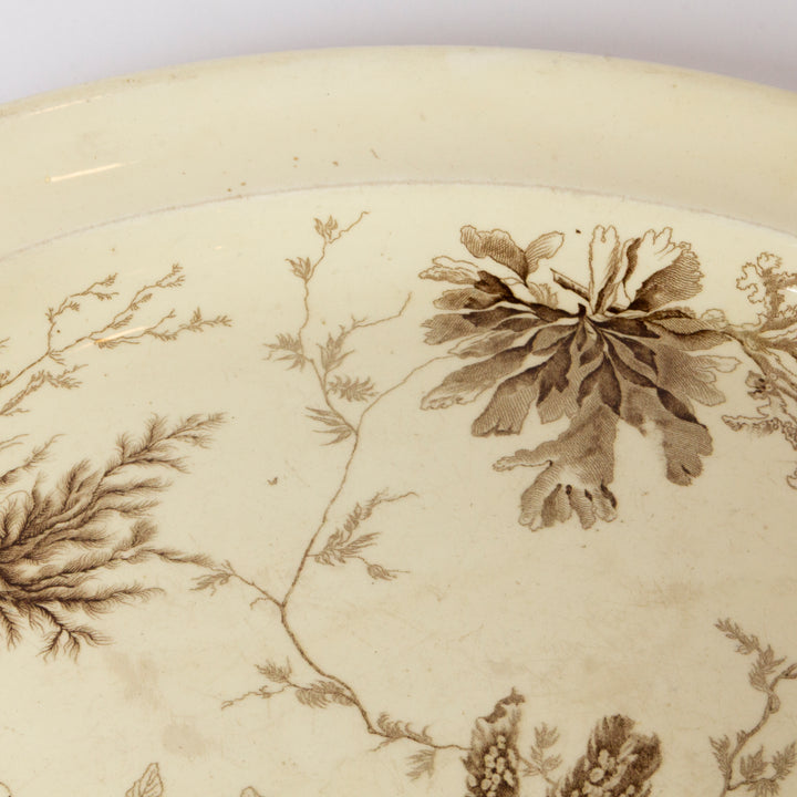Antique Wedgewood Aesthetic Movement Period Seaweed Platter,  circa 1877