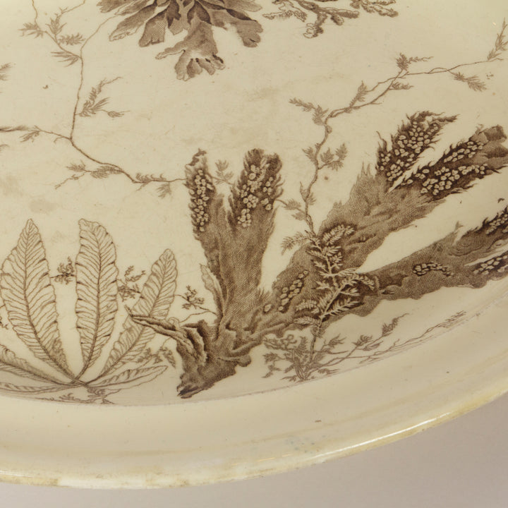 Antique Wedgewood Aesthetic Movement Period Seaweed Platter,  circa 1877
