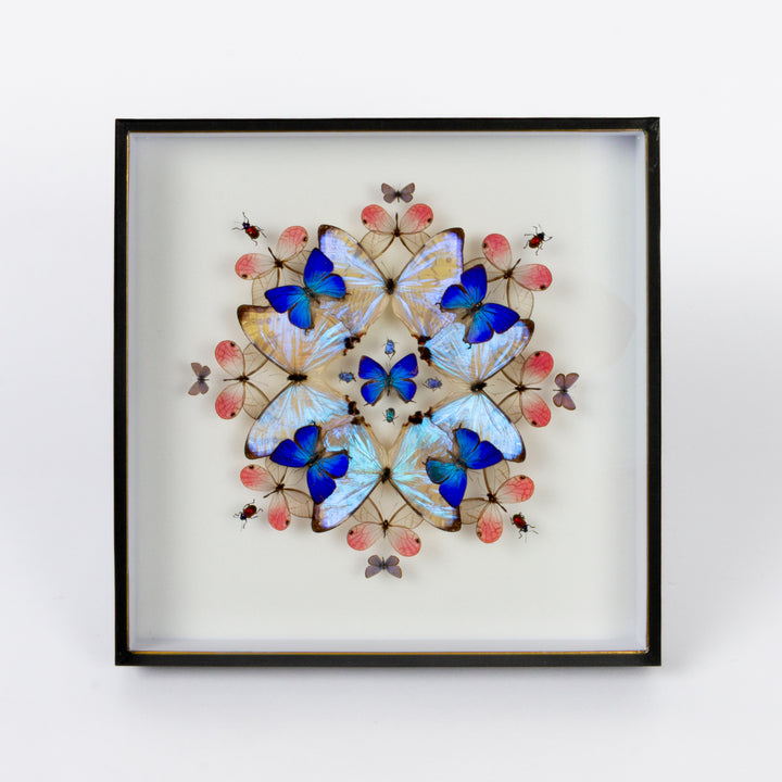A square framed butterfly wall art piece featuring multiple iridescent blue and white butterflies arranged symmetrically with small pink and brown accents on a white background, set in a black frame.