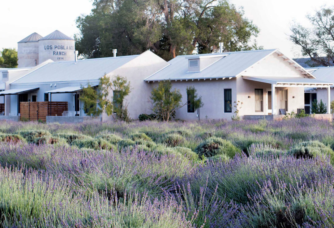 Pablanos Farms Sage &amp; Vetiver Candle, 16oz