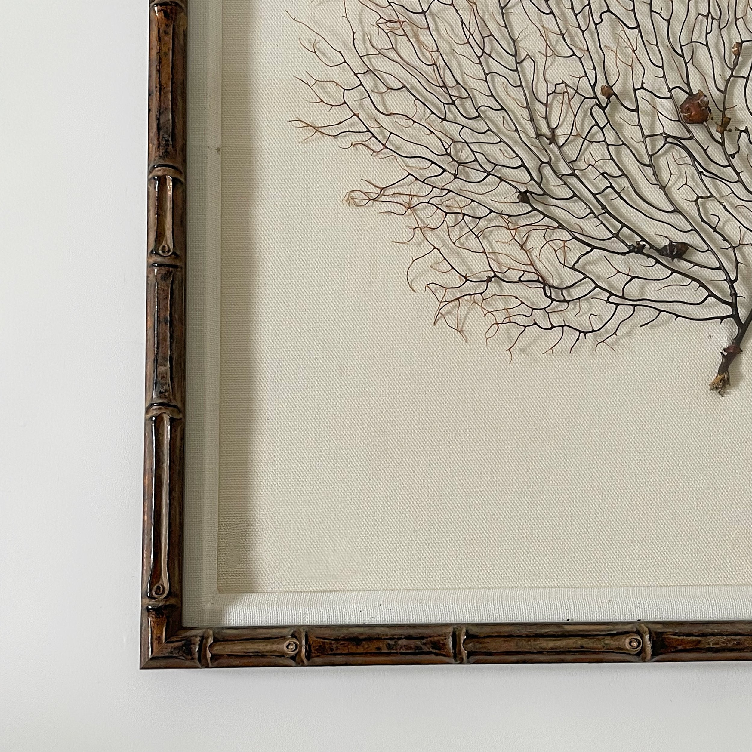 Set Of Three Framed Black Coral, Bamboo Frames – George Home CT
