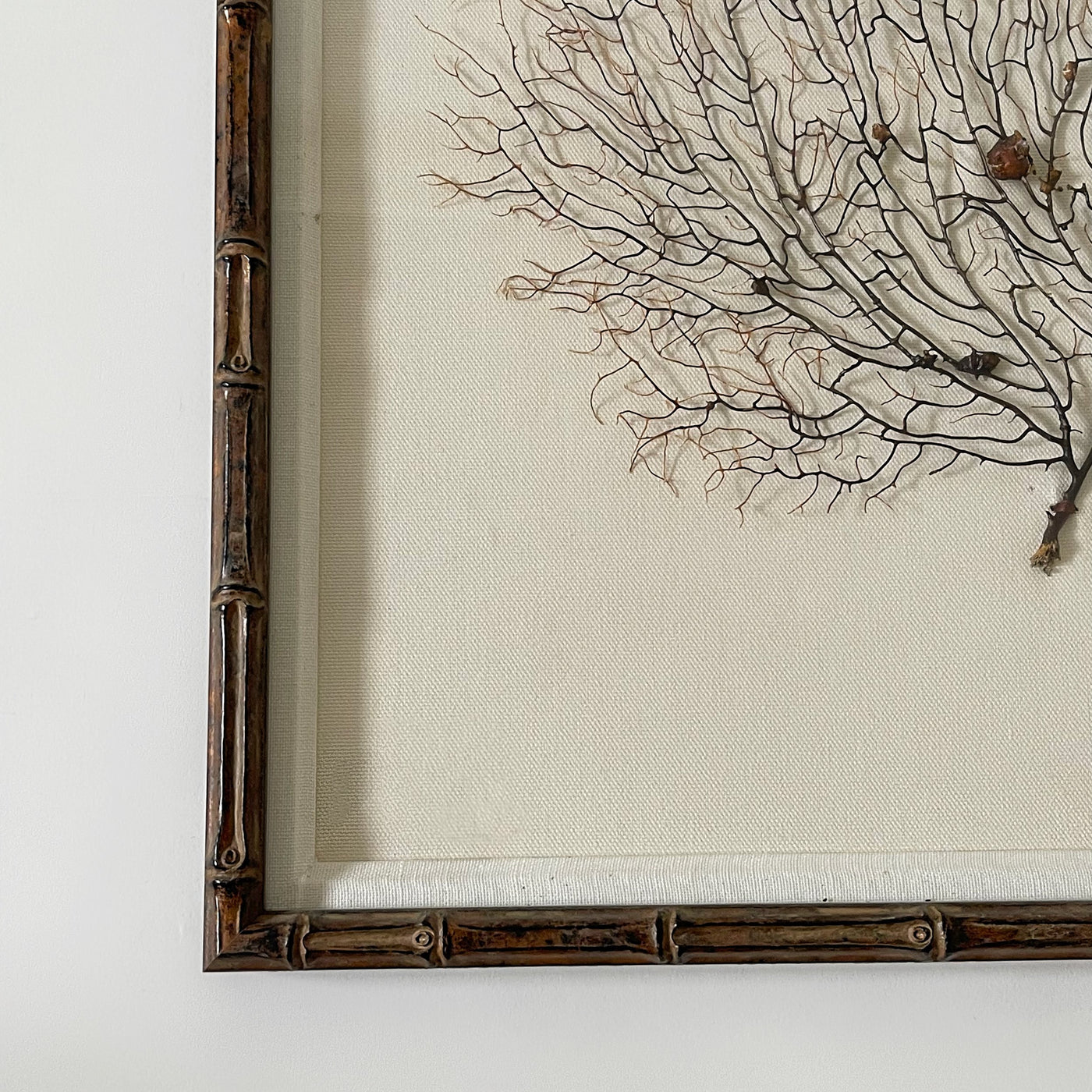 Set Of Three Framed Black Coral, Bamboo Frames
