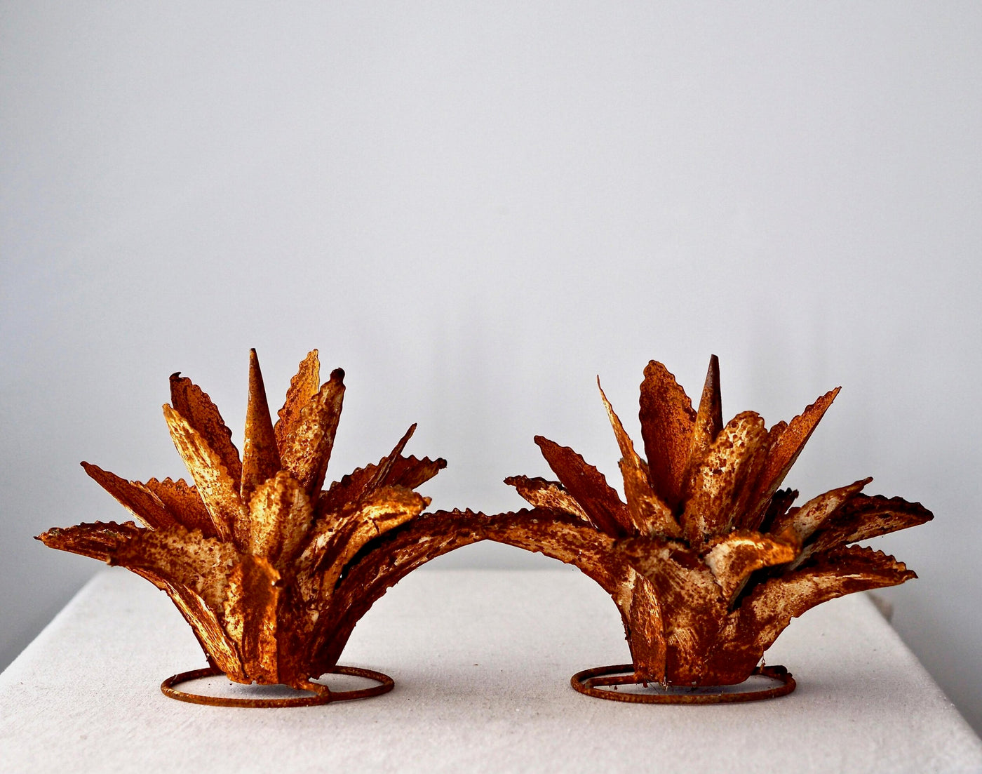 Pair Of Small Metal Agaves